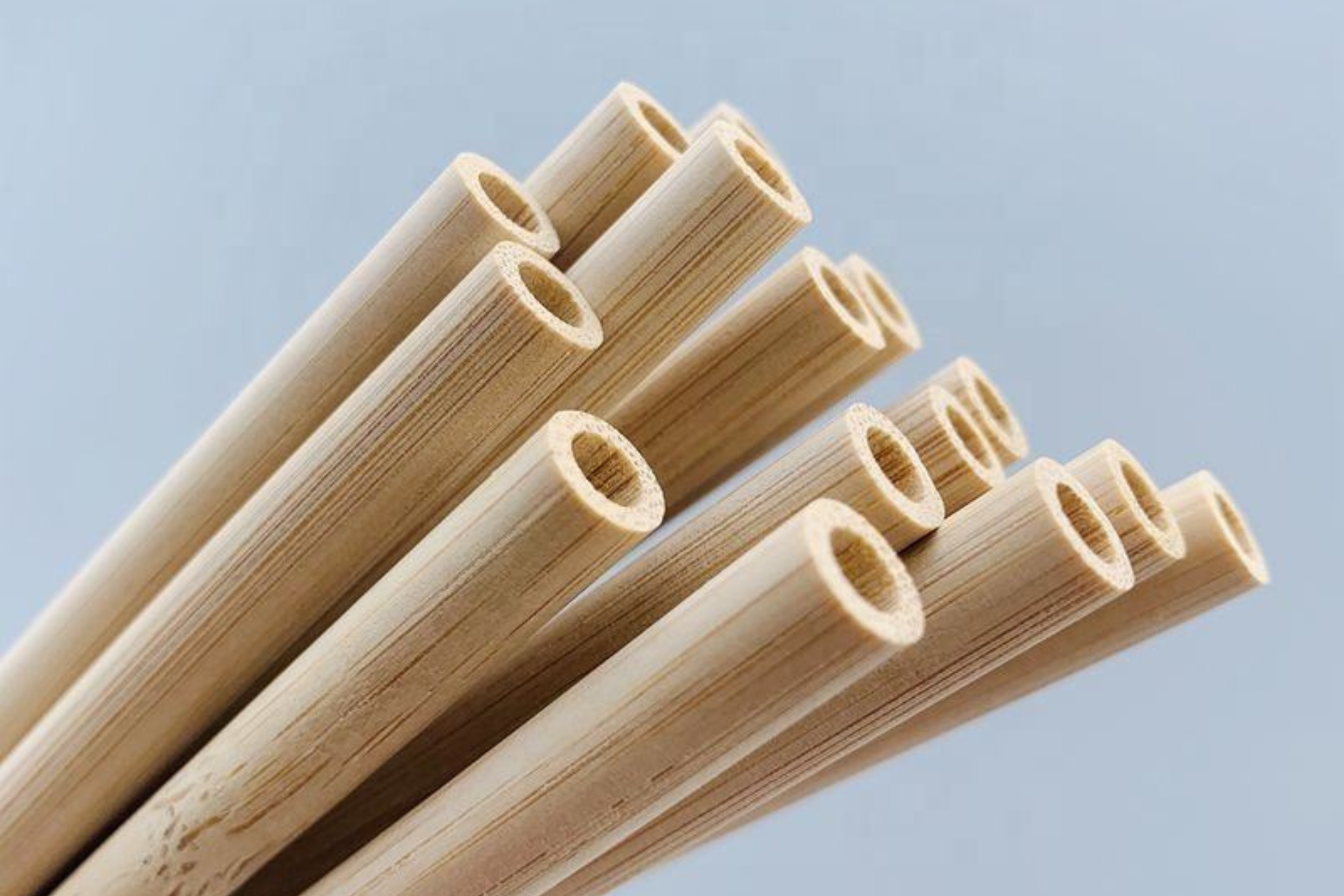 Organic Bamboo Straw