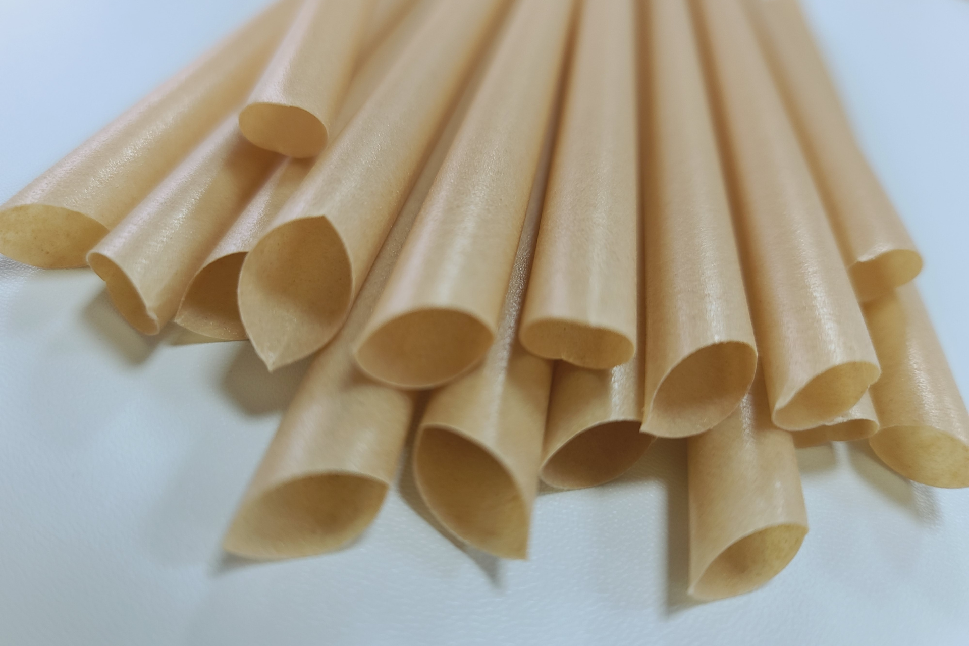 Sugarcane Straws