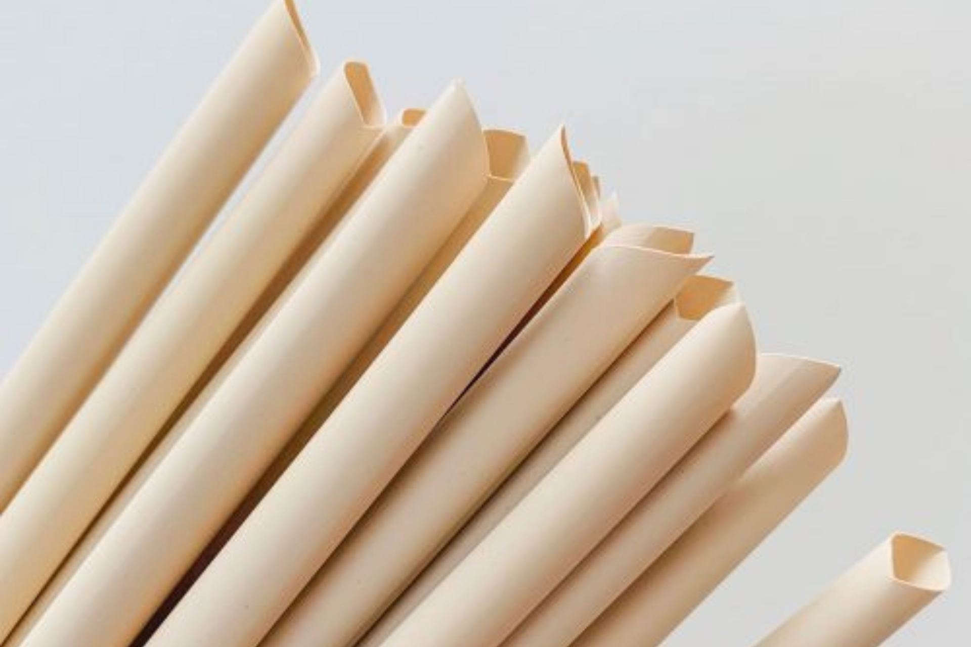 Bamboo Fiber Straws