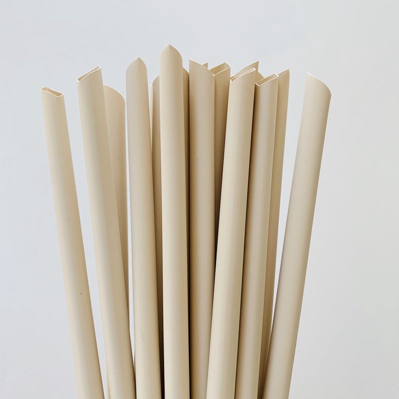 Bamboo Fiber Straws