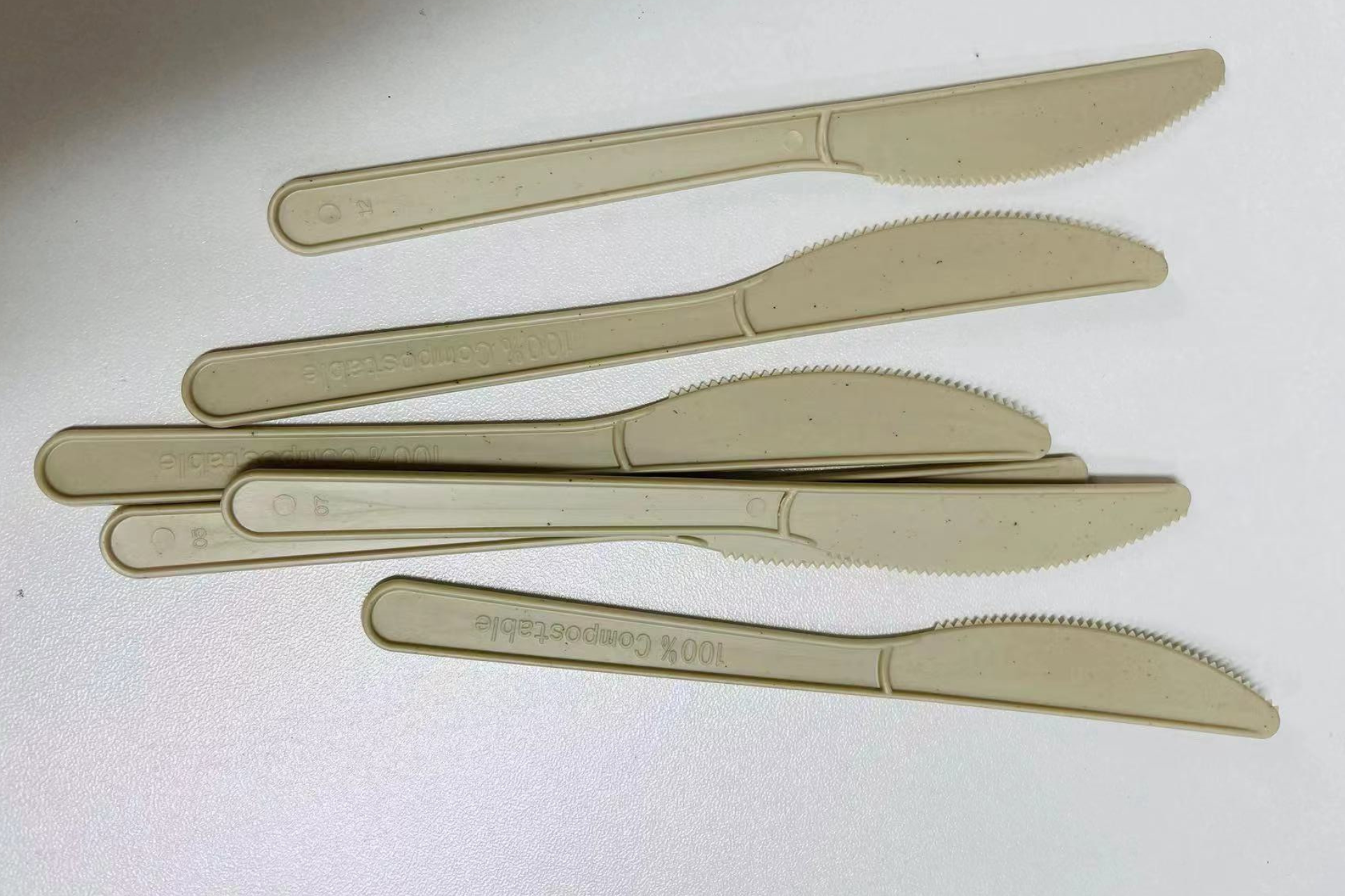 sugarcane cutlery (2)