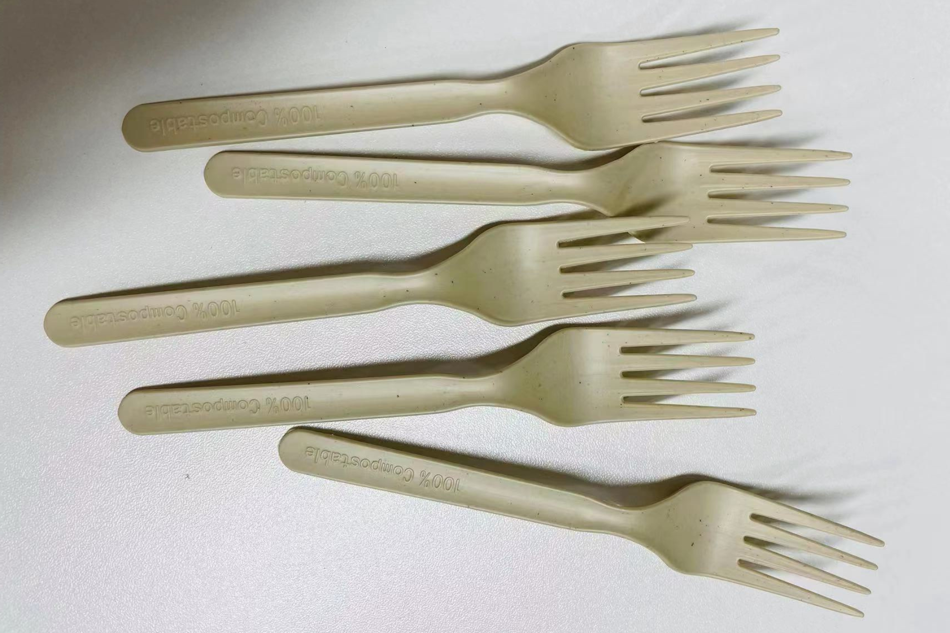 sugarcane cutlery (3)