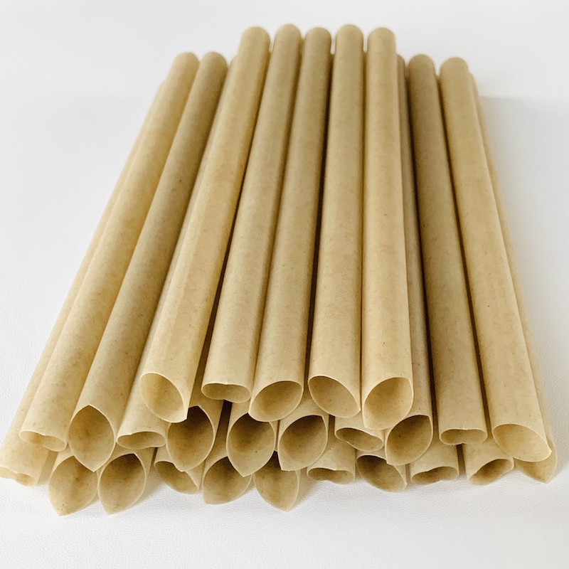 sugarcane straws 1 (3)