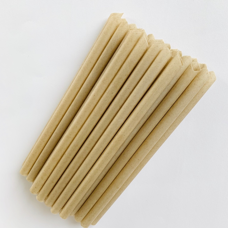 sugarcane straws 1 (4)