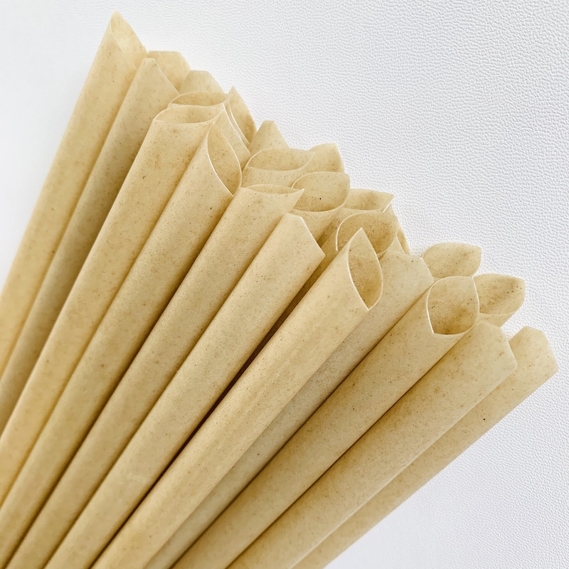 sugarcane straws 1 (9)